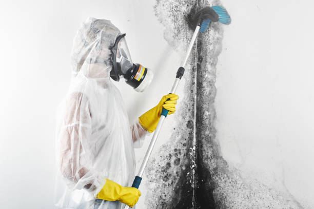 Best Air Quality Testing for Mold Spores  in Watts Mills, SC